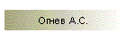 Огнев А.С.