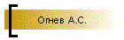 Огнев А.С.